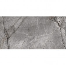 ПЛИТКА INSPIRO SR12602Q SILVER ROOT LIGHT GREY GLOSSY 120х60