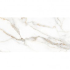 ITALICA DAMA SHINE PL 60х120