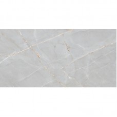 ITALICA PANDAMI SILVER PL 60х120