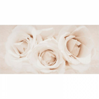 Декор Opoczno Camelia 29,7x60