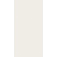 ПЛИТКА PARADYZ CALM 29.8x59.8 SILVER DEKOR POLER RECT