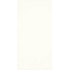 Плитка для стен Paradyz Moonlight bianco 29,5x59,5