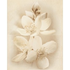 Декор для стен Cersanit Diana флауер 50x40